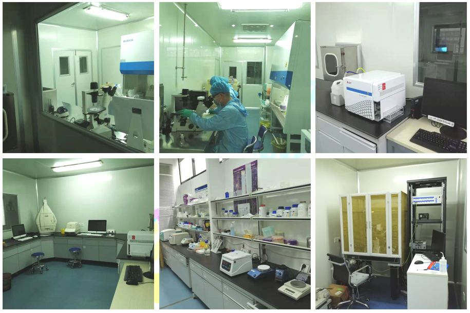 GeneMedi 薬諾生物