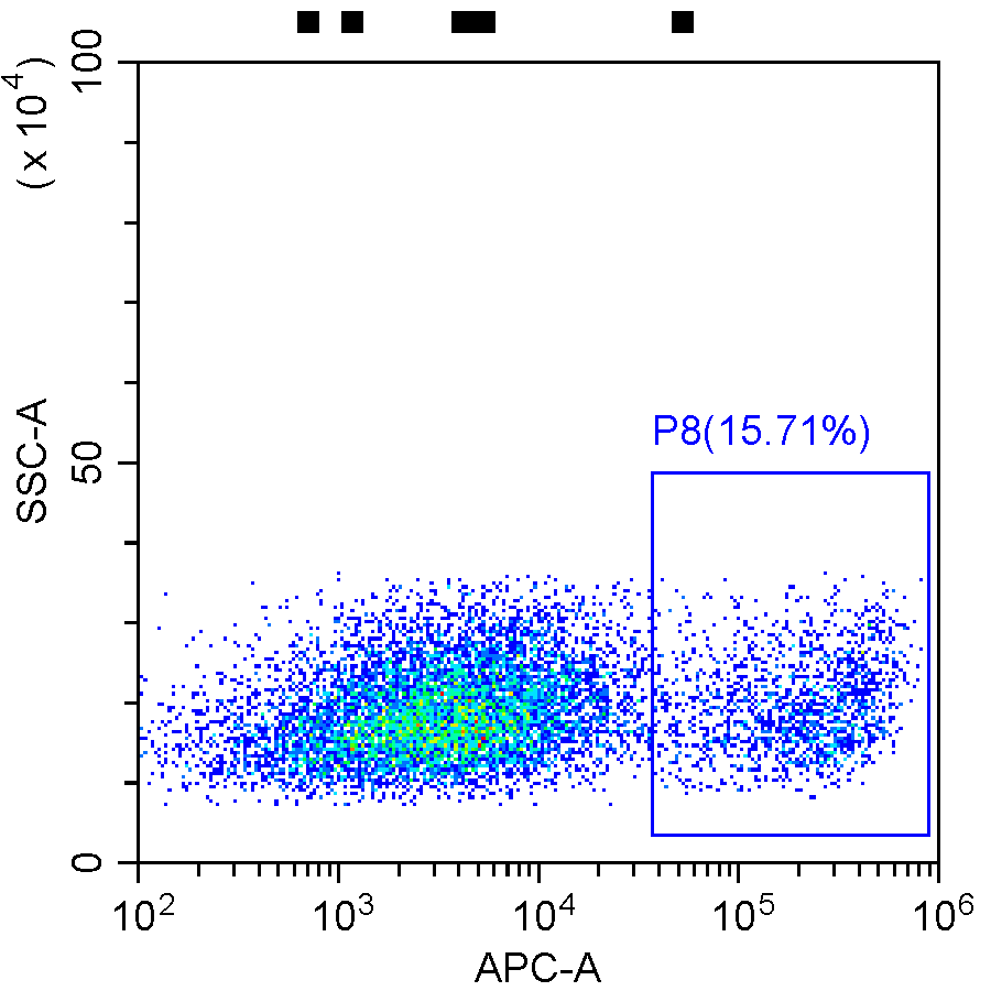 VHH1 GMLS-Tag002-Ab01
